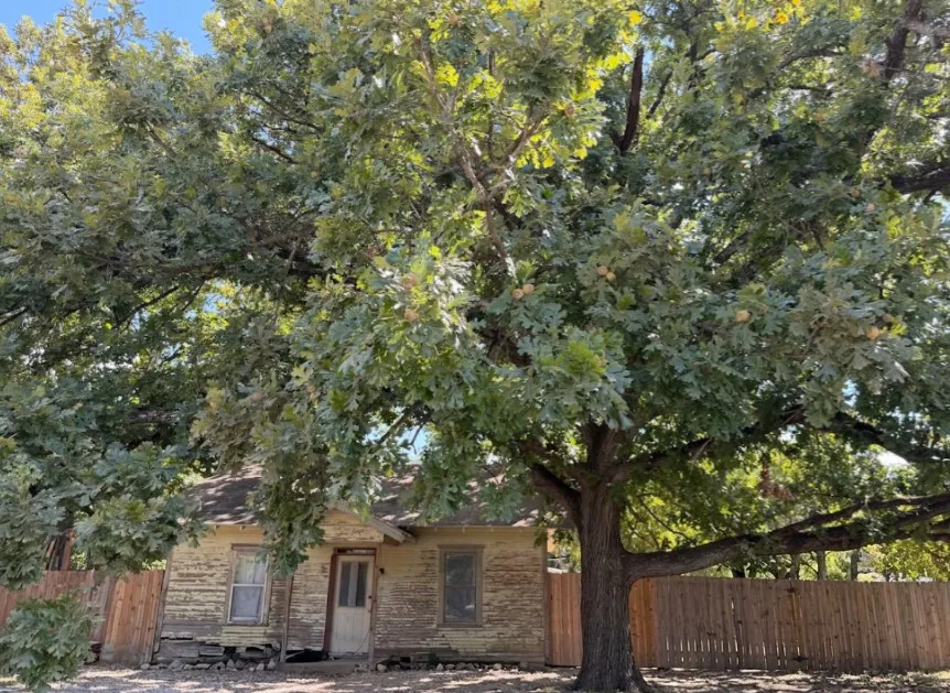 443 W Jackson Street Bartlett, TX 76511