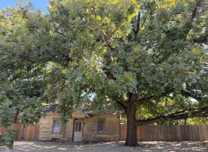 443 W Jackson Street Bartlett, TX 76511