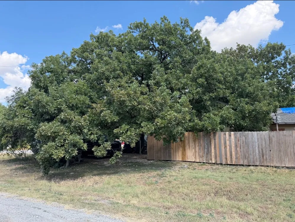 443 W Jackson Street Bartlett, TX 76511