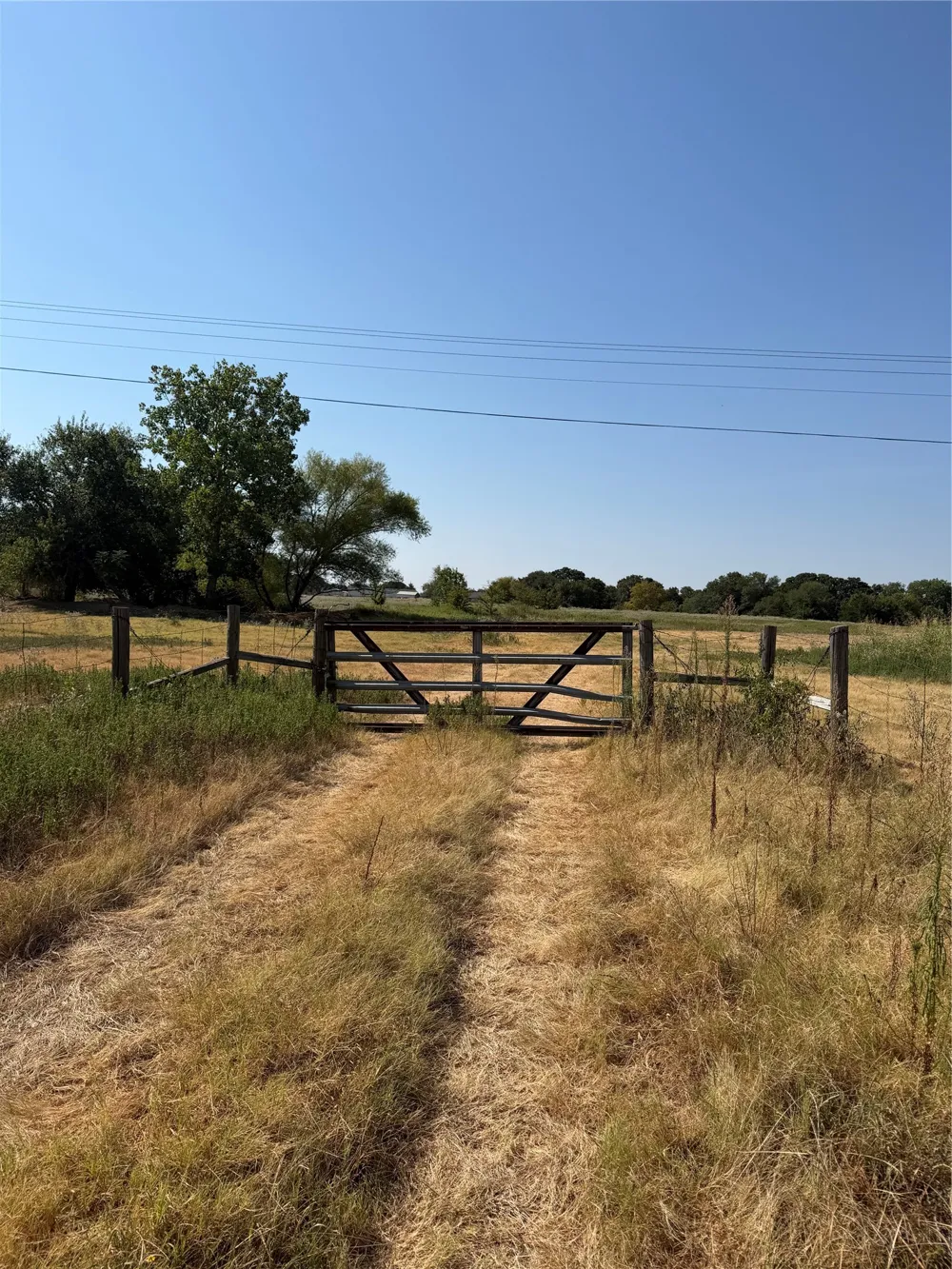 County Road 3707 Wills Point, TX 75169