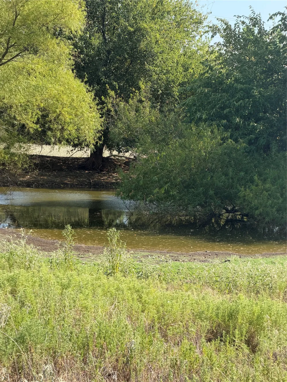 County Road 3707 Wills Point, TX 75169