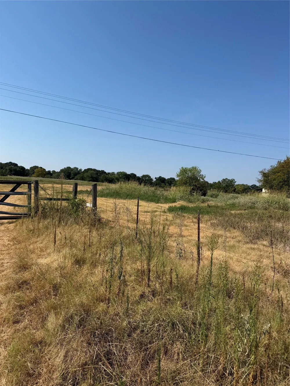 County Road 3707 Wills Point, TX 75169