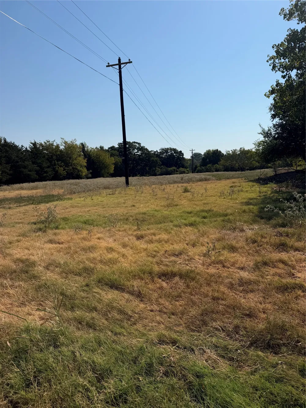 County Road 3707 Wills Point, TX 75169
