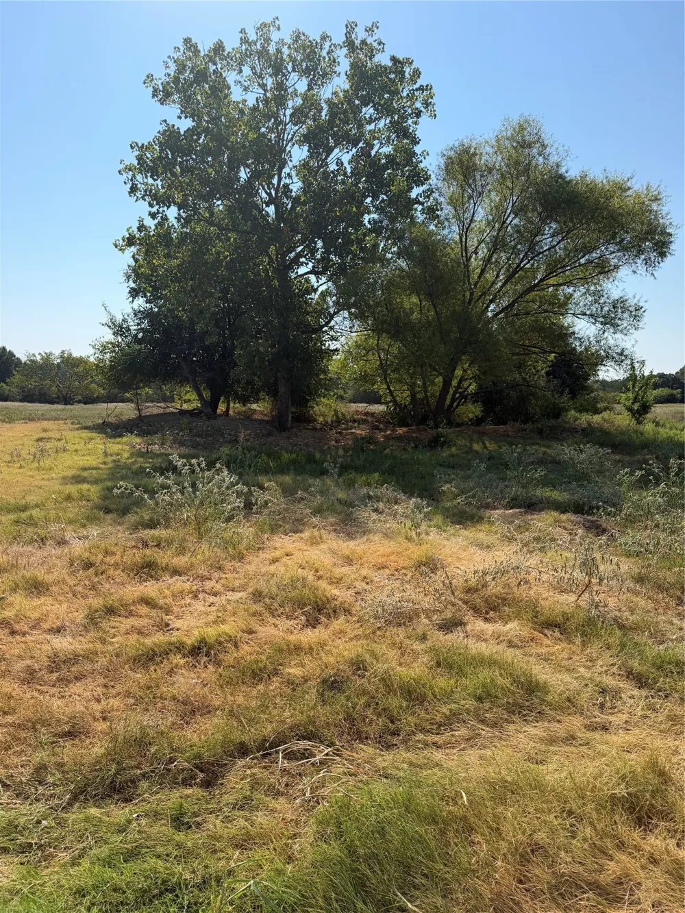 County Road 3707 Wills Point, TX 75169