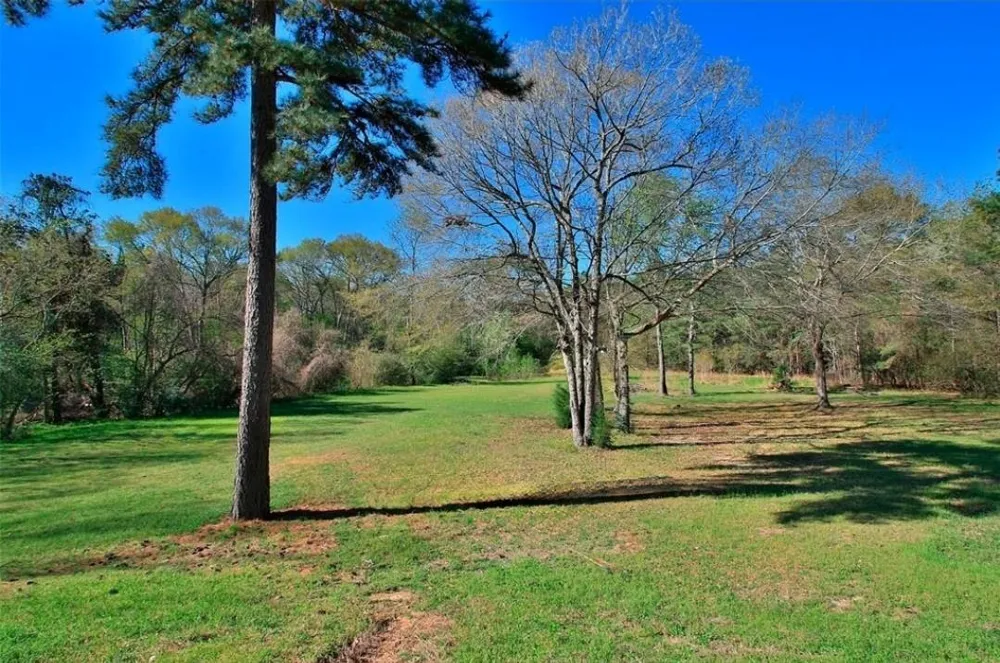 3004 Teas Crossing Court Conroe, TX 77304