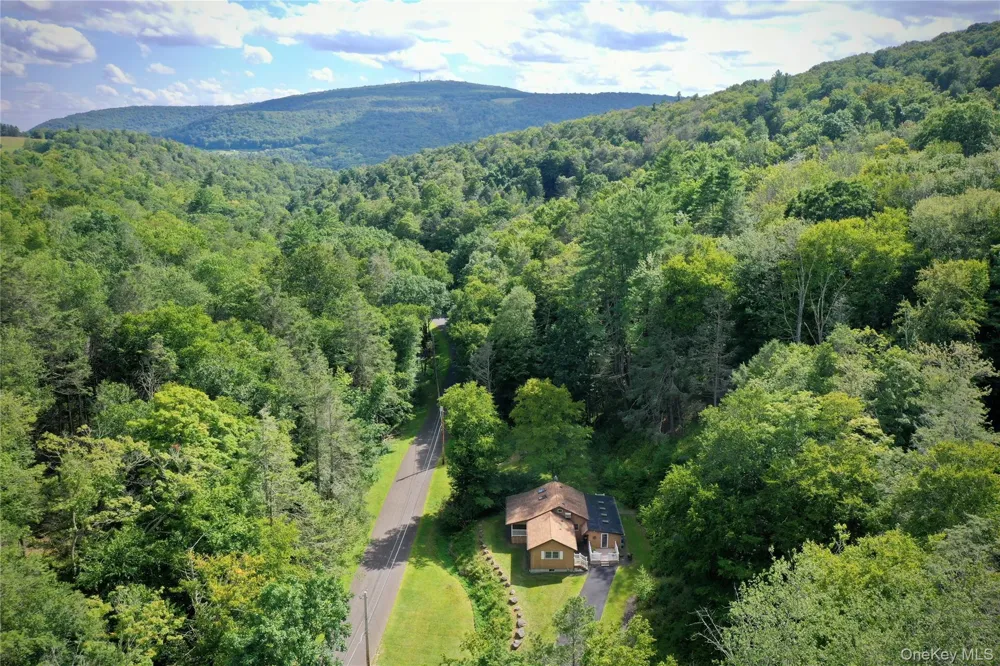 283 Pepacton Hollow Road Grahamsville, NY 12740