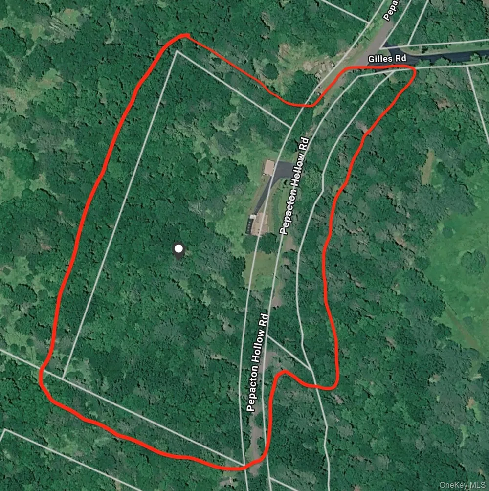 283 Pepacton Hollow Road Grahamsville, NY 12740