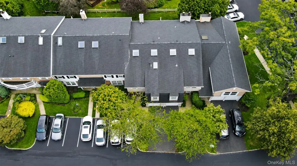 151 The Knoll Syosset, NY 11791
