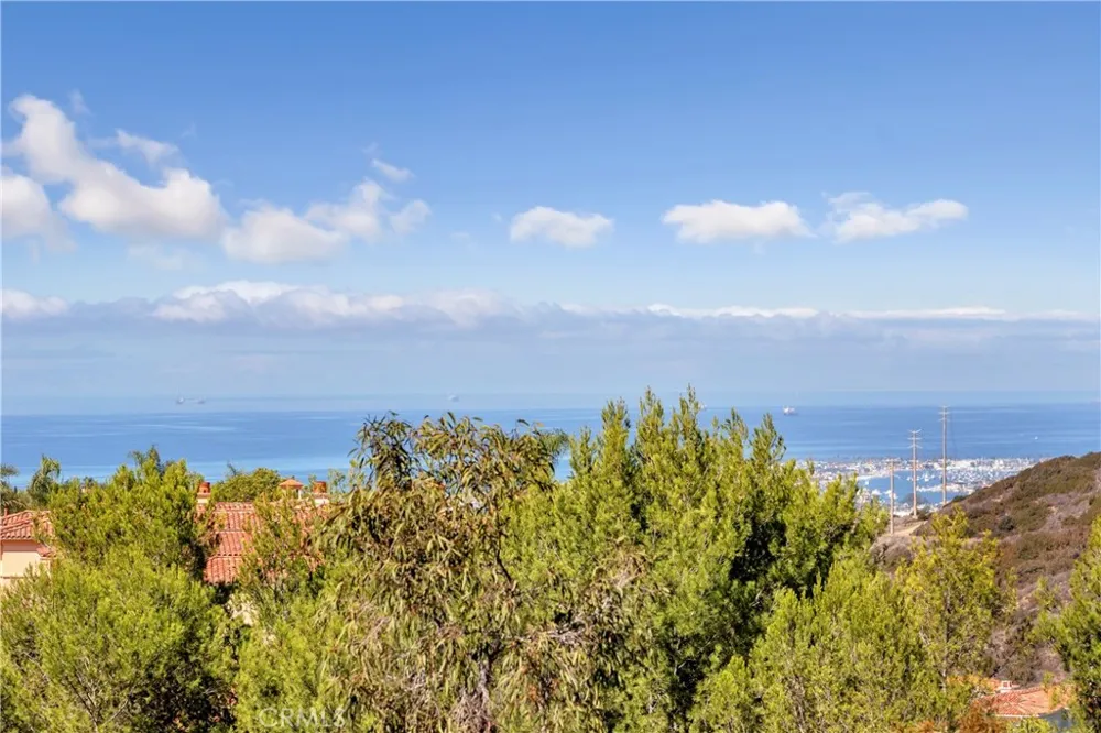 1 Savona Court Newport Coast, CA 92657