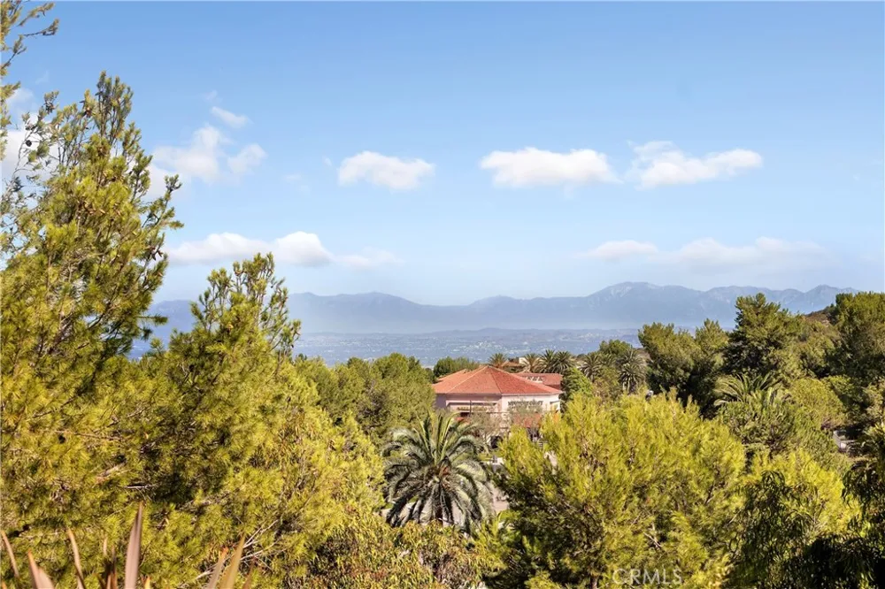 1 Savona Court Newport Coast, CA 92657