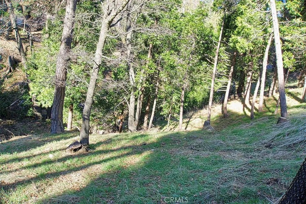 24757 Basel Drive Crestline, CA 92325