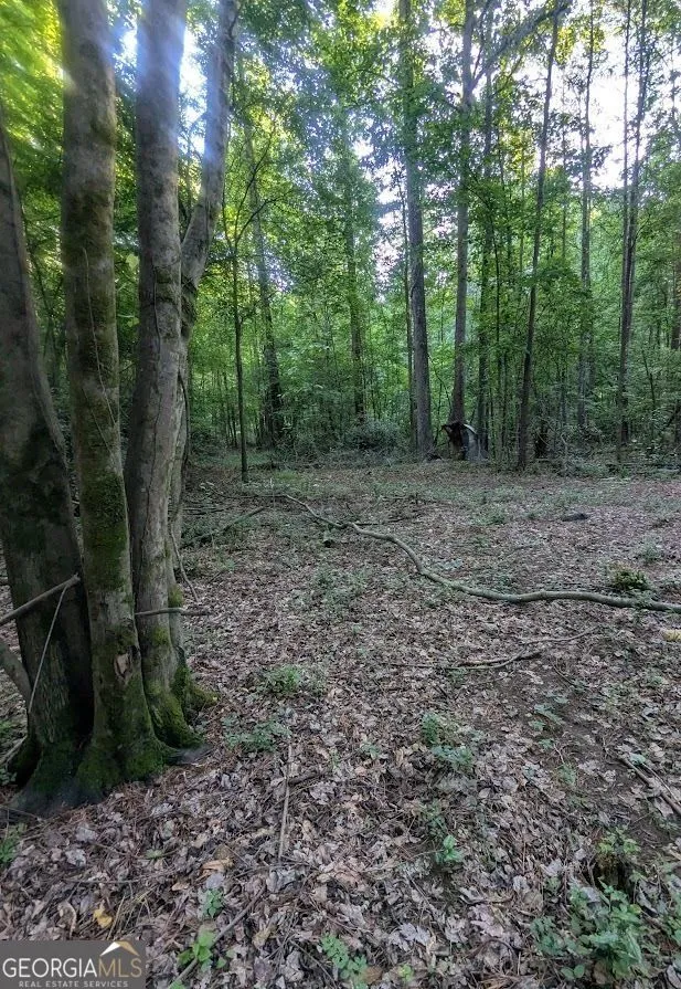 2773 River RD Ellenwood, GA 30294