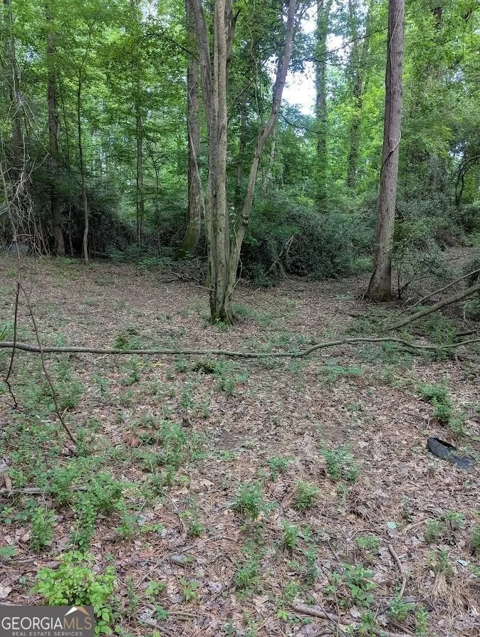 2773 River RD Ellenwood, GA 30294