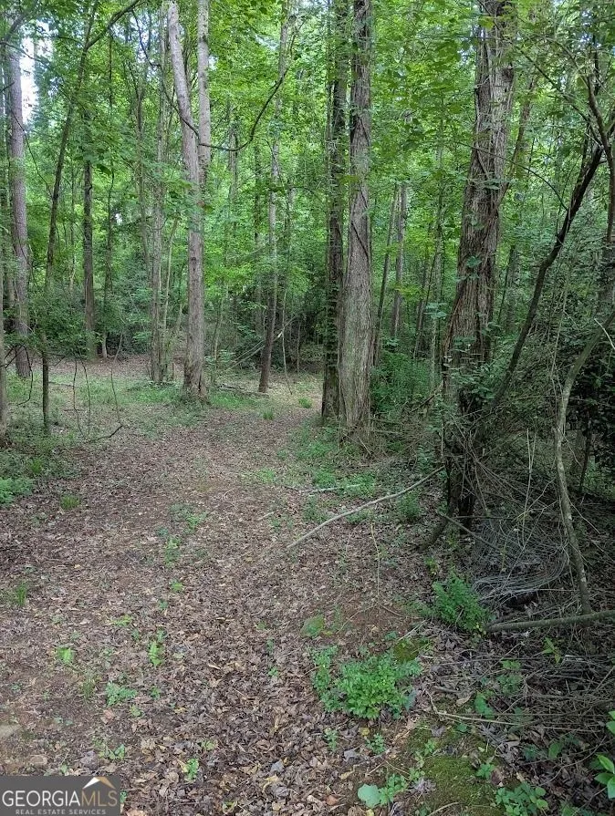 2773 River RD Ellenwood, GA 30294