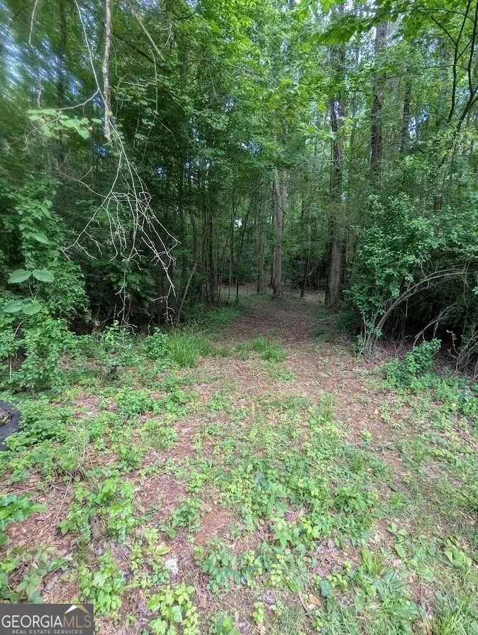 2773 River RD Ellenwood, GA 30294
