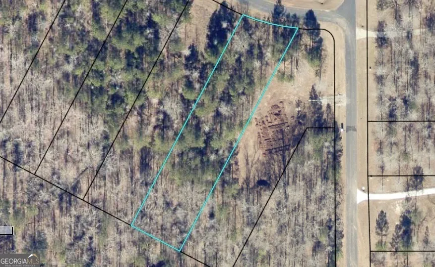 LOT 16 South Point DR Tignall, GA 30668