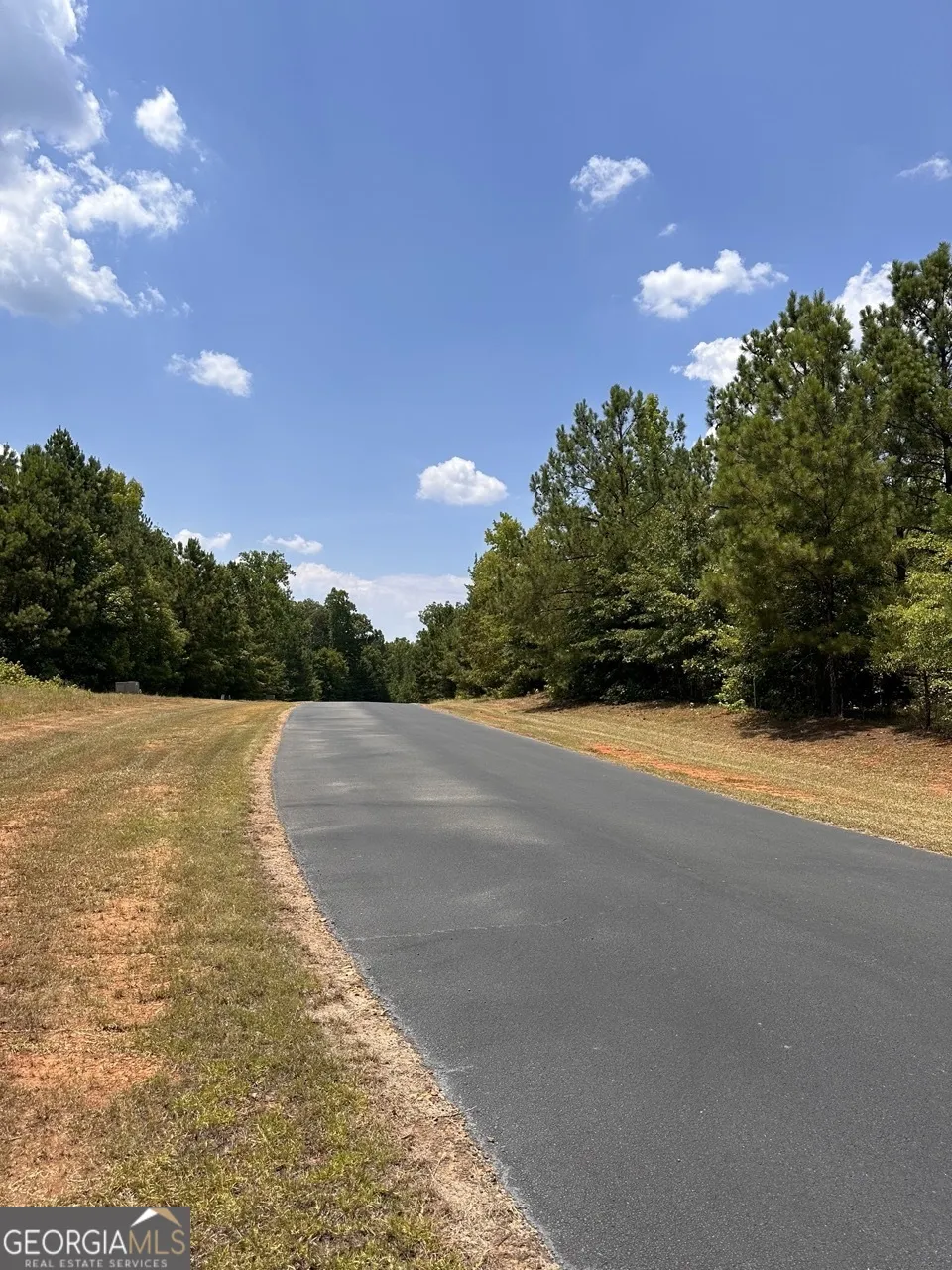 LOT 16 South Point DR Tignall, GA 30668