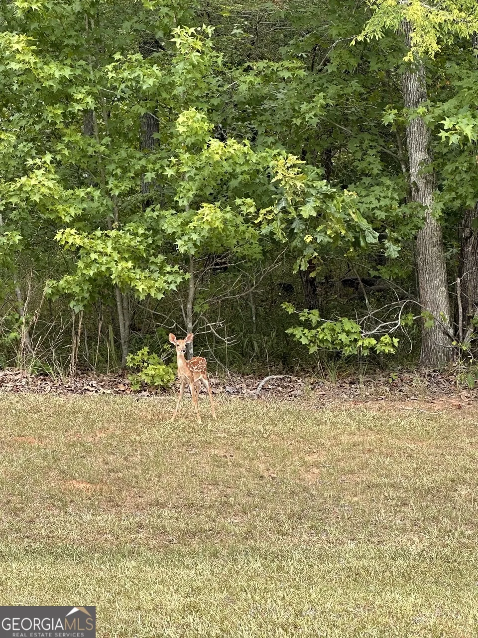 LOT 16 South Point DR Tignall, GA 30668