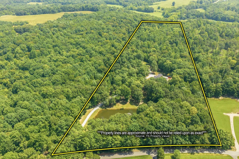 899 Wilkinstown Rd Parsons, TN 38363