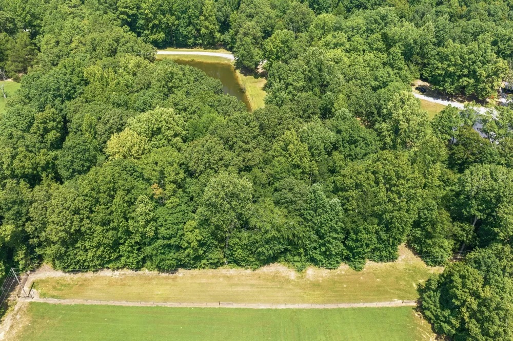 899 Wilkinstown Rd Parsons, TN 38363