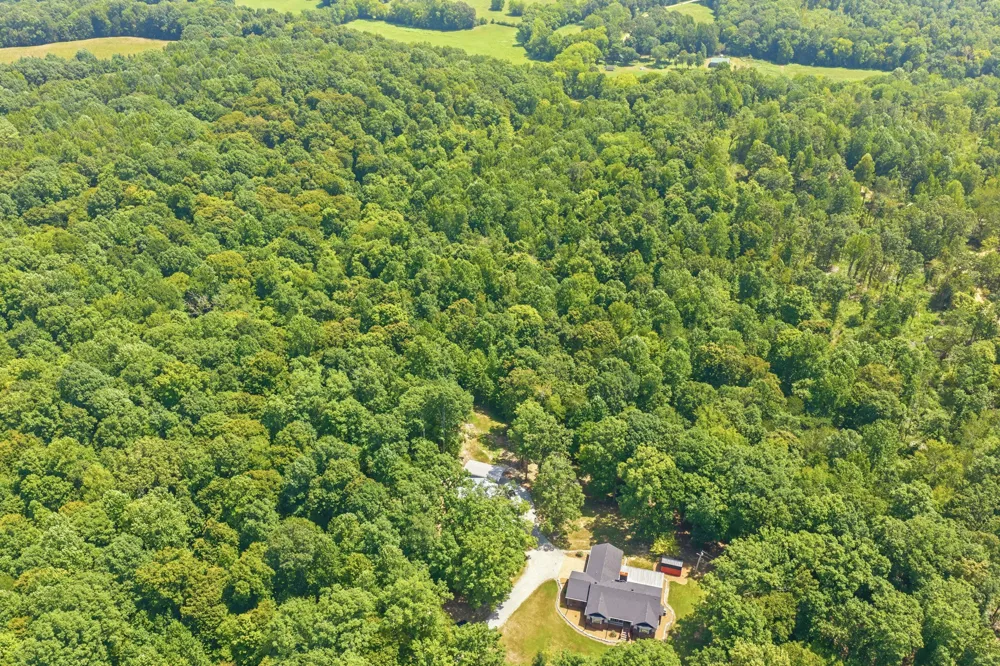 899 Wilkinstown Rd Parsons, TN 38363