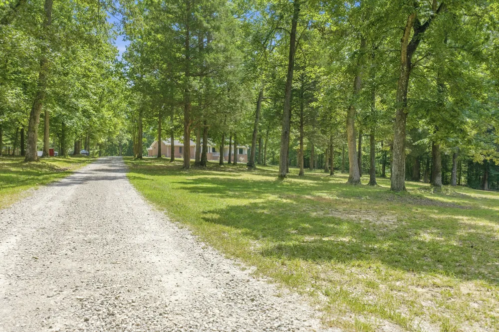 899 Wilkinstown Rd Parsons, TN 38363