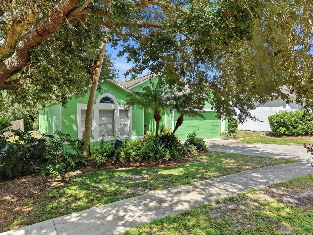 809 ROCKY MOUNTAIN COURT Valrico, FL 33594
