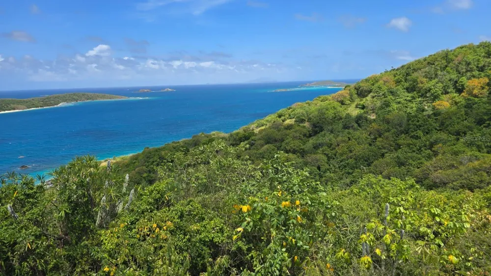 25 BARRIO SAN ISIDRO Culebra, PR 00775