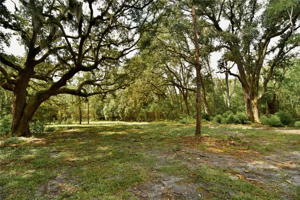18709 NE US HIGHWAY 301 Waldo, FL 32694