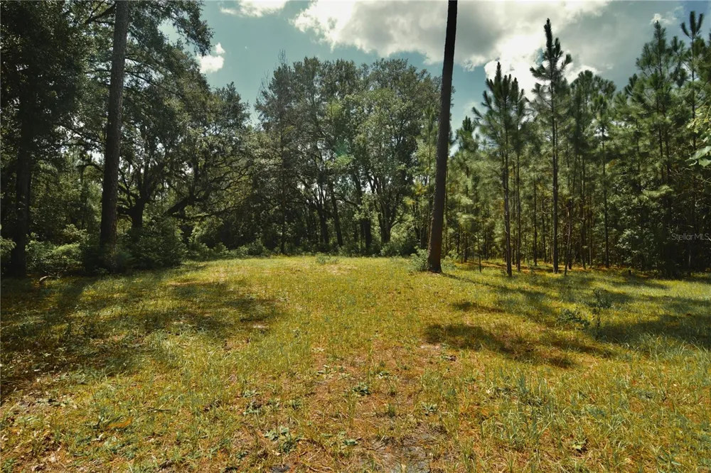 18709 NE US HIGHWAY 301 Waldo, FL 32694
