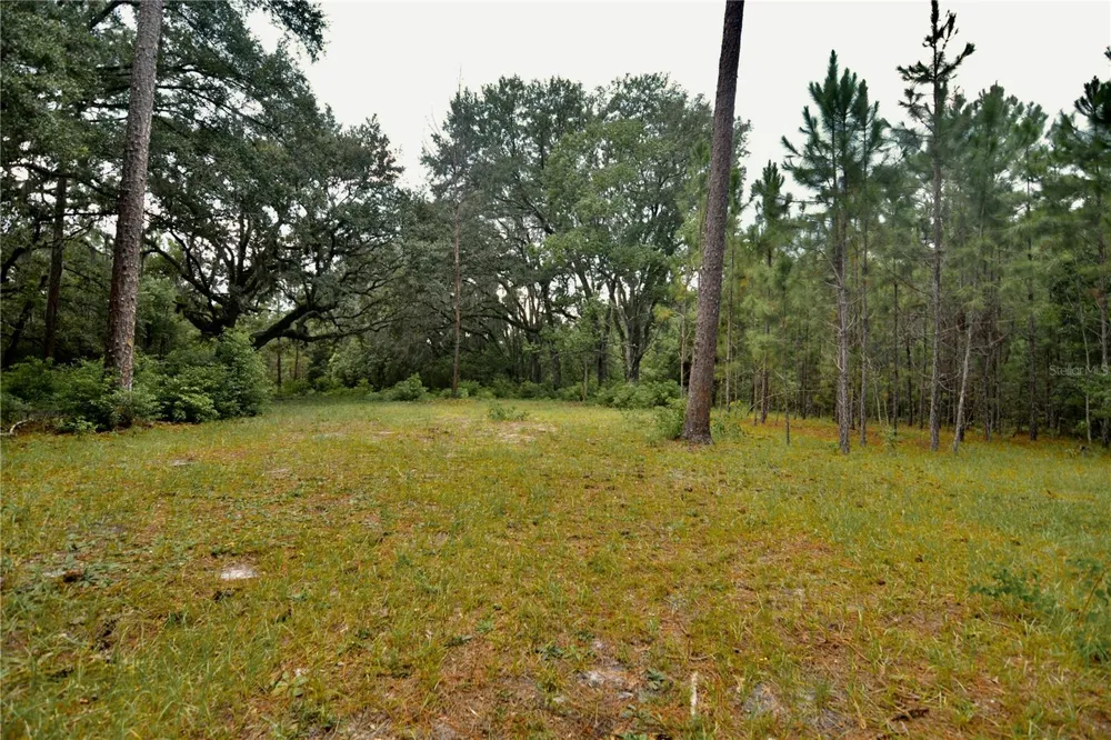 18709 NE US HIGHWAY 301 Waldo, FL 32694
