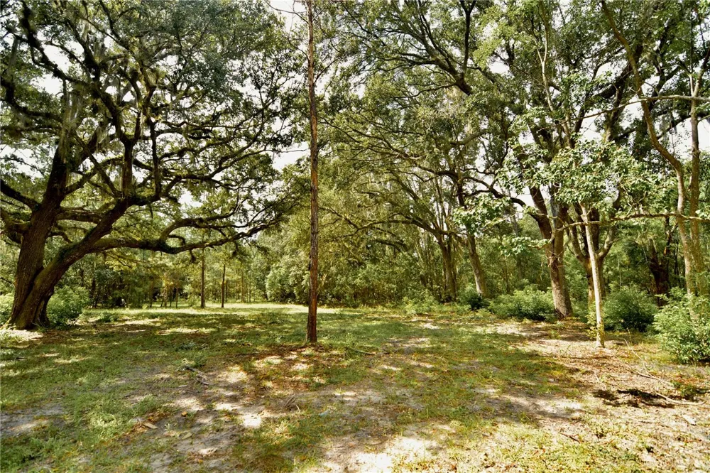 18709 NE US HIGHWAY 301 Waldo, FL 32694
