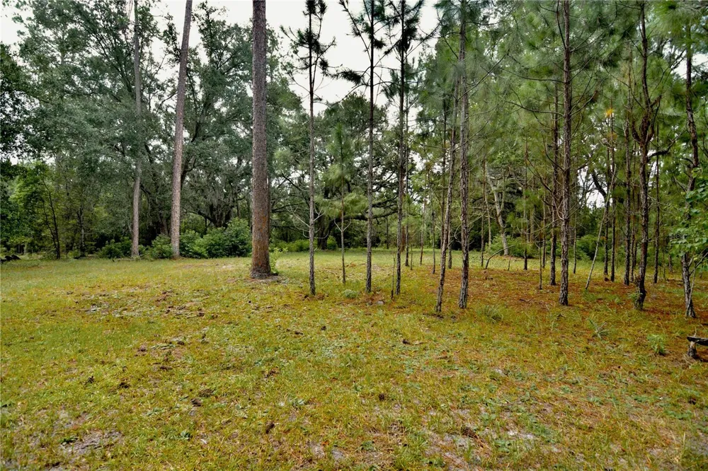 18709 NE US HIGHWAY 301 Waldo, FL 32694