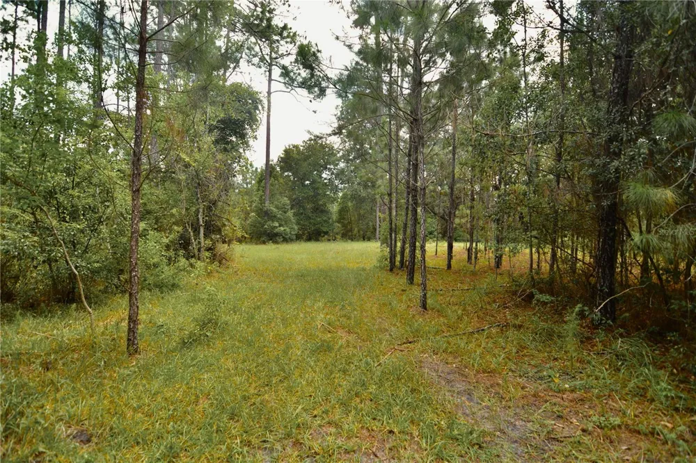 18709 NE US HIGHWAY 301 Waldo, FL 32694