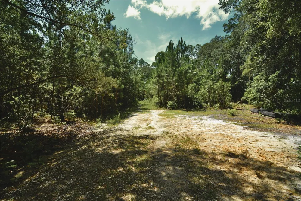 18709 NE US HIGHWAY 301 Waldo, FL 32694