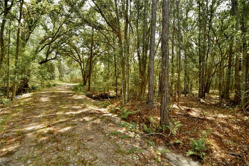 18709 NE US HIGHWAY 301 Waldo, FL 32694