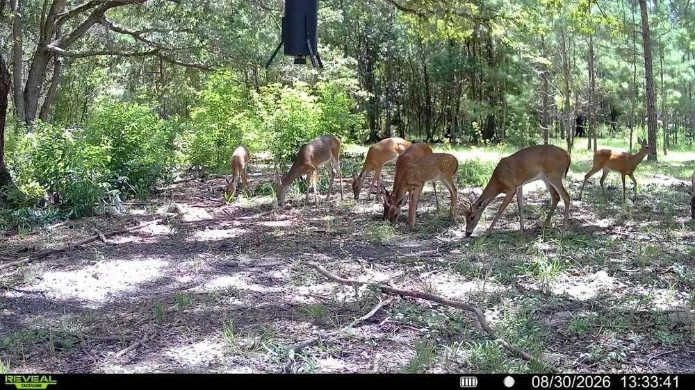 18709 NE US HIGHWAY 301 Waldo, FL 32694
