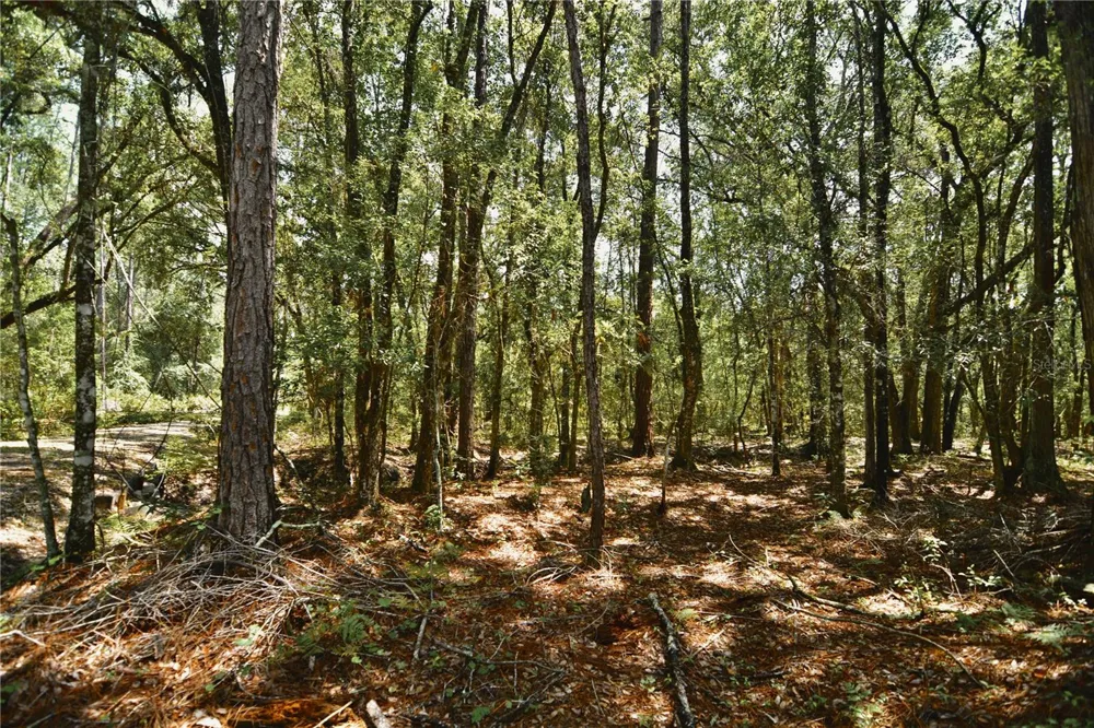 18709 NE US HIGHWAY 301 Waldo, FL 32694