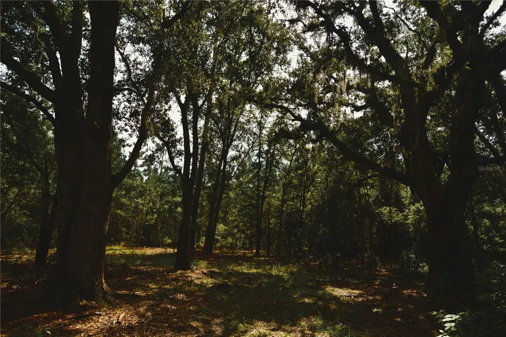 18709 NE US HIGHWAY 301 Waldo, FL 32694