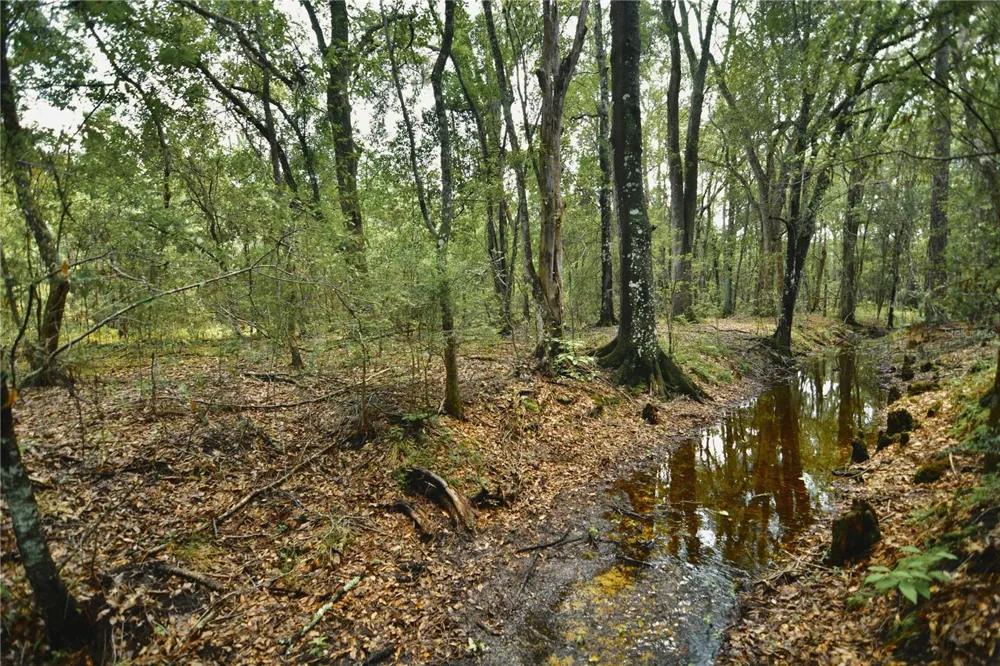 18709 NE US HIGHWAY 301 Waldo, FL 32694