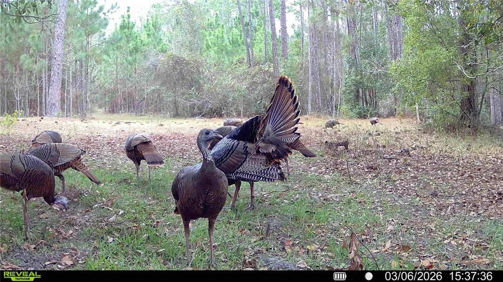 18709 NE US HIGHWAY 301 Waldo, FL 32694