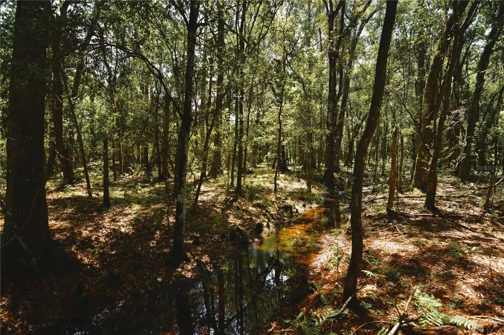 18709 NE US HIGHWAY 301 Waldo, FL 32694