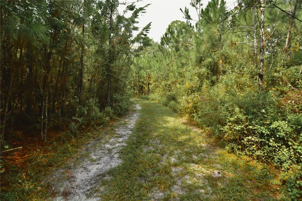 18709 NE US HIGHWAY 301 Waldo, FL 32694