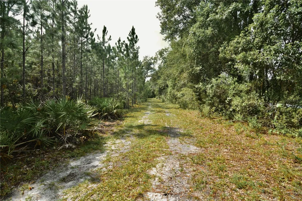 18709 NE US HIGHWAY 301 Waldo, FL 32694