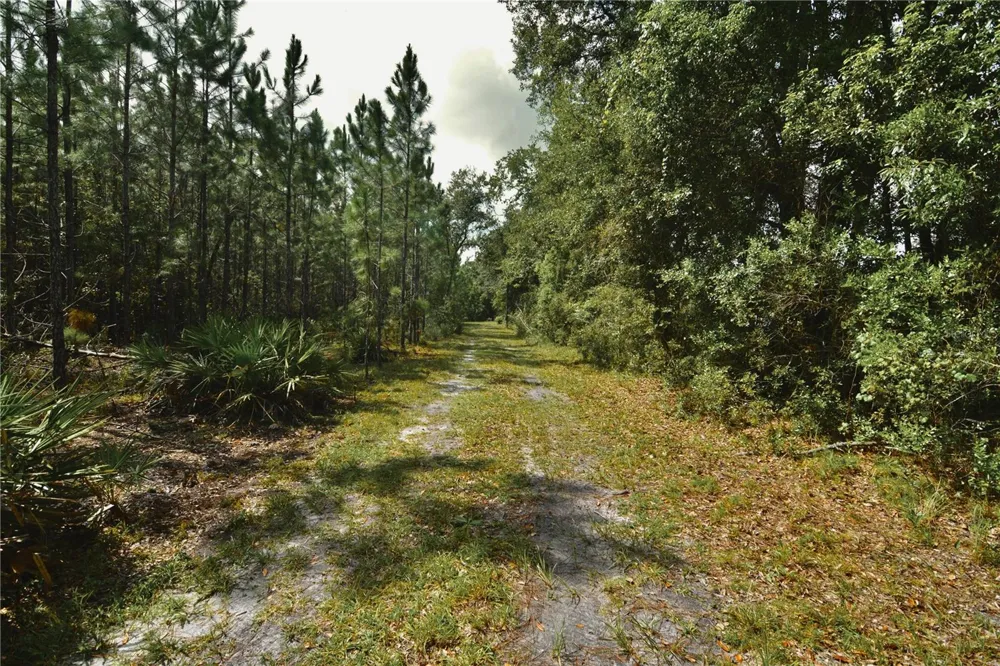 18709 NE US HIGHWAY 301 Waldo, FL 32694