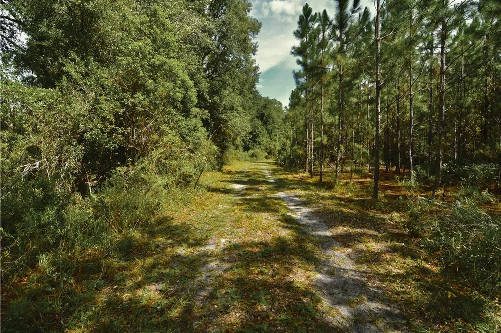 18709 NE US HIGHWAY 301 Waldo, FL 32694