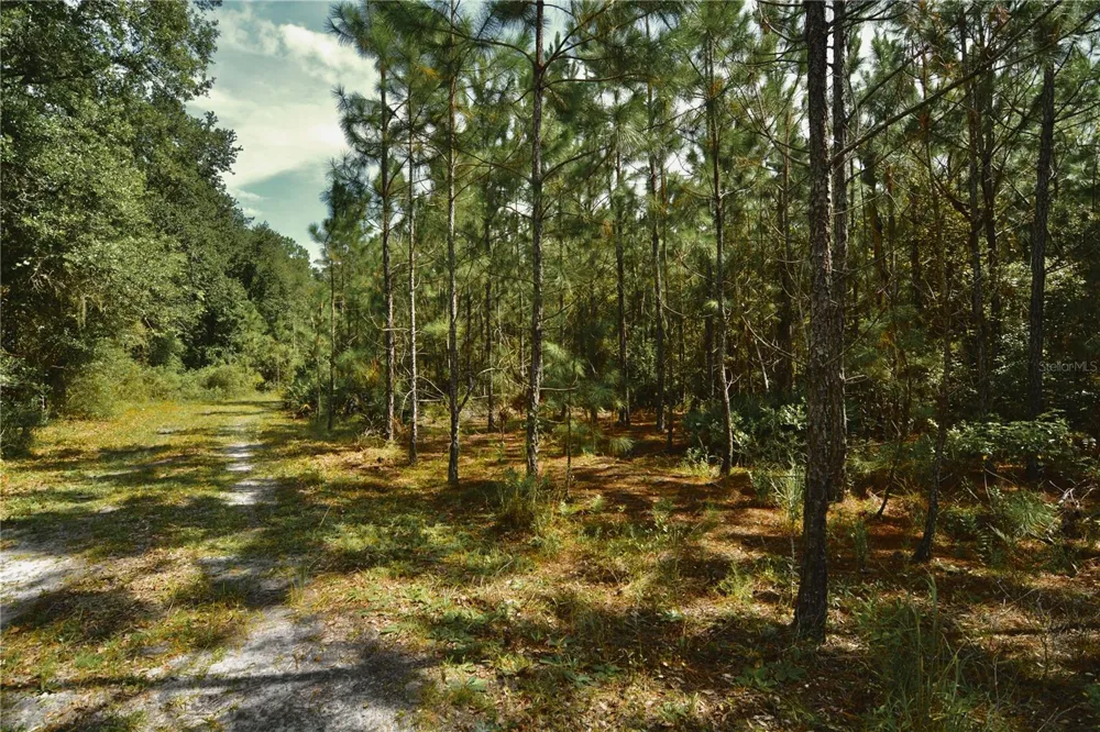 18709 NE US HIGHWAY 301 Waldo, FL 32694