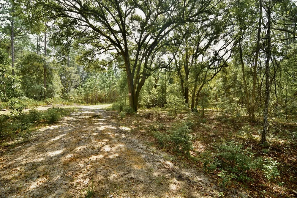 18709 NE US HIGHWAY 301 Waldo, FL 32694
