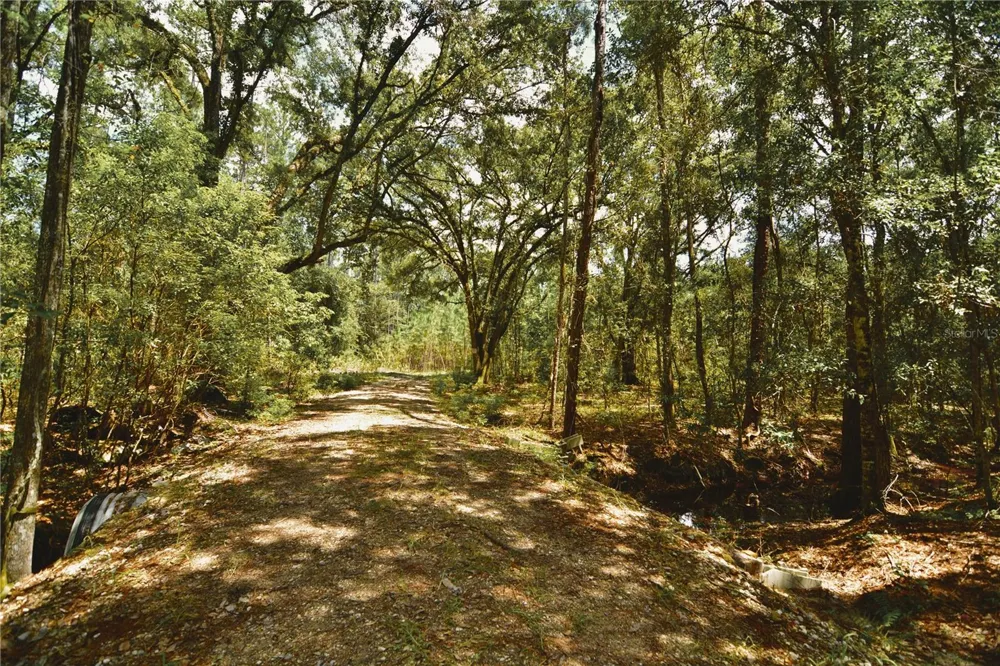 18709 NE US HIGHWAY 301 Waldo, FL 32694