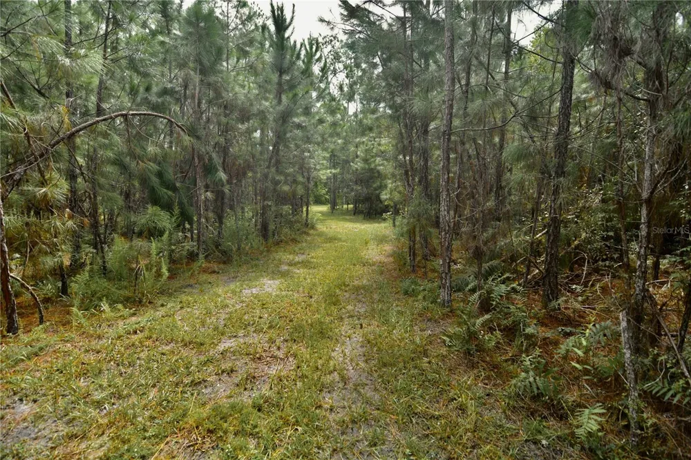 18709 NE US HIGHWAY 301 Waldo, FL 32694